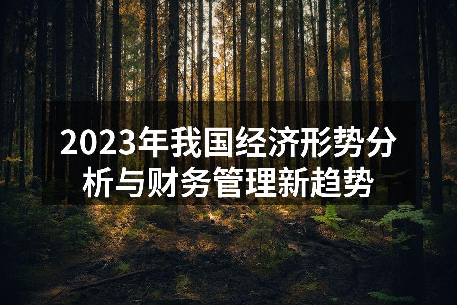 2023年我国经济形势分析与财务管理新趋势