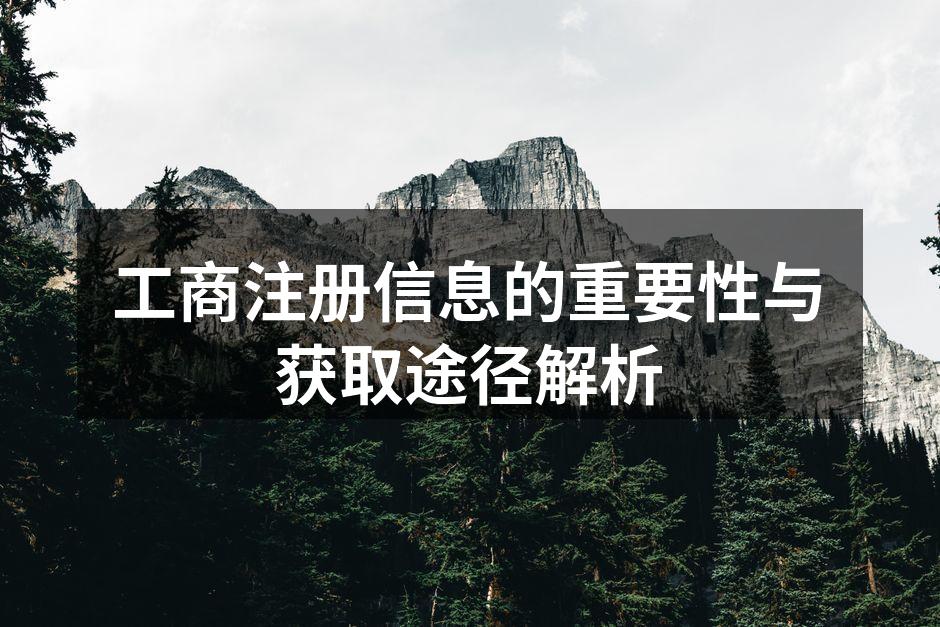 工商注册信息的重要性与获取途径解析